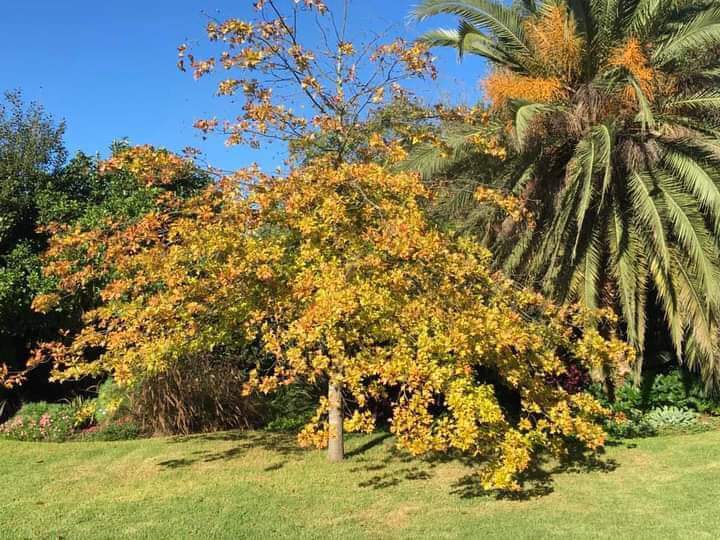 3 Bedroom Property for Sale in Bredasdorp Western Cape